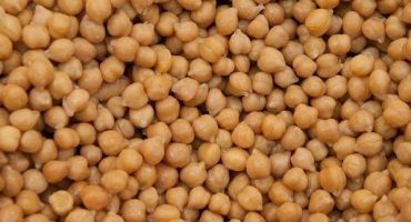 Výhody a poškození jehněčího hrášku nebo cizrny, jeho odrůdy a pěstování